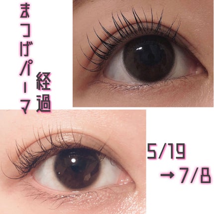 スカルプD ボーテ ピュアフリーアイラッシュセラム/アンファー(スカルプD)/まつげ美容液を使ったクチコミ(1枚目)