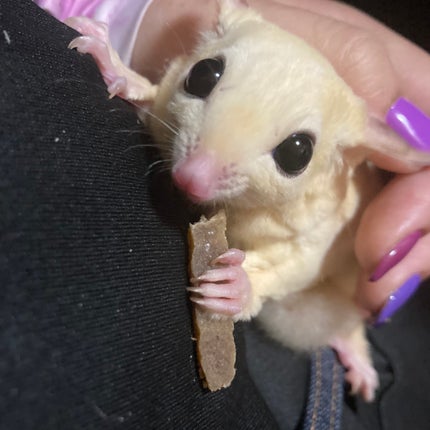 を使ったクチコミ(3枚目)