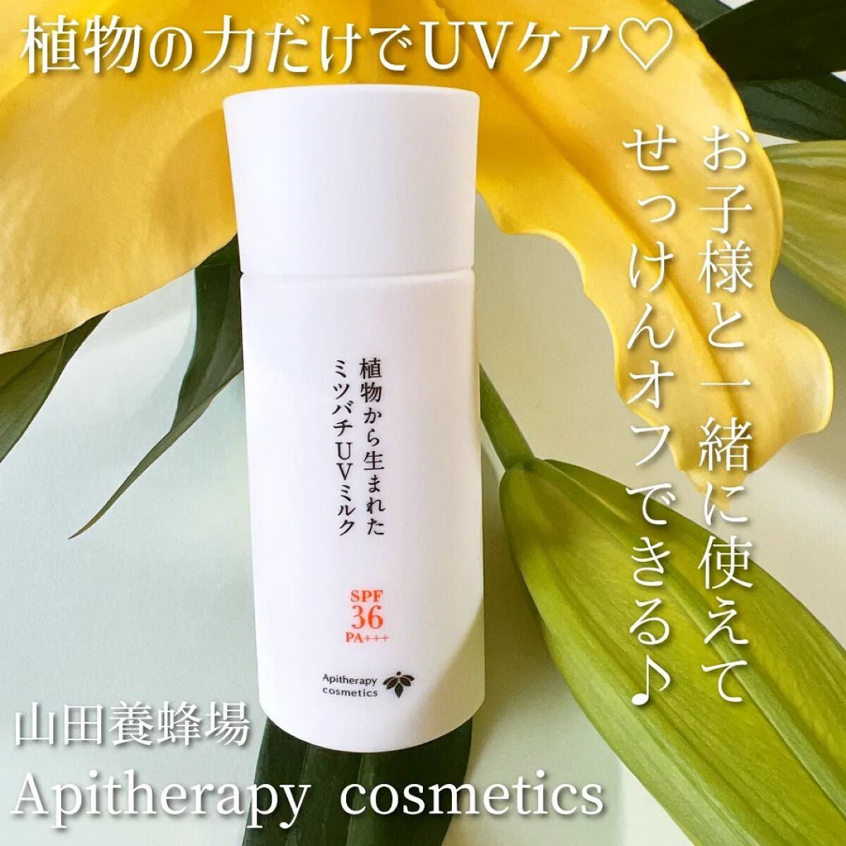 植物から生まれたミツバチUVミルク/アピセラピーコスメティクス/日焼け止めミルクを使ったクチコミ(1枚目)