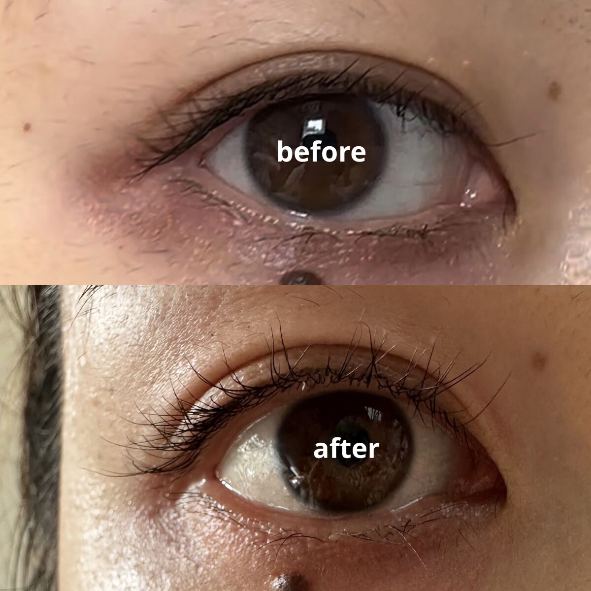 self eyelash perm kit/Qoo10/その他キットセットを使ったクチコミ（3枚目）