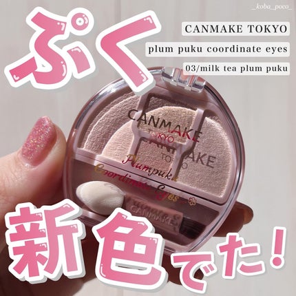 プランぷくコーデアイズ/キャンメイク/パウダーアイシャドウを使ったクチコミ(1枚目)