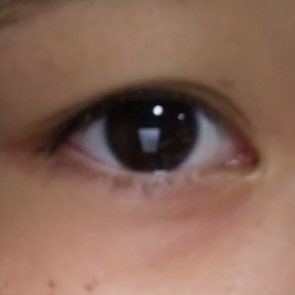 ちー on LIPS 「今月のminiの付録のミルクフェドを使ってみました!アイシャド..」(2枚目)