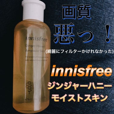 ジンジャーハニー　モイストスキン/innisfree/化粧水を使ったクチコミ（1枚目）