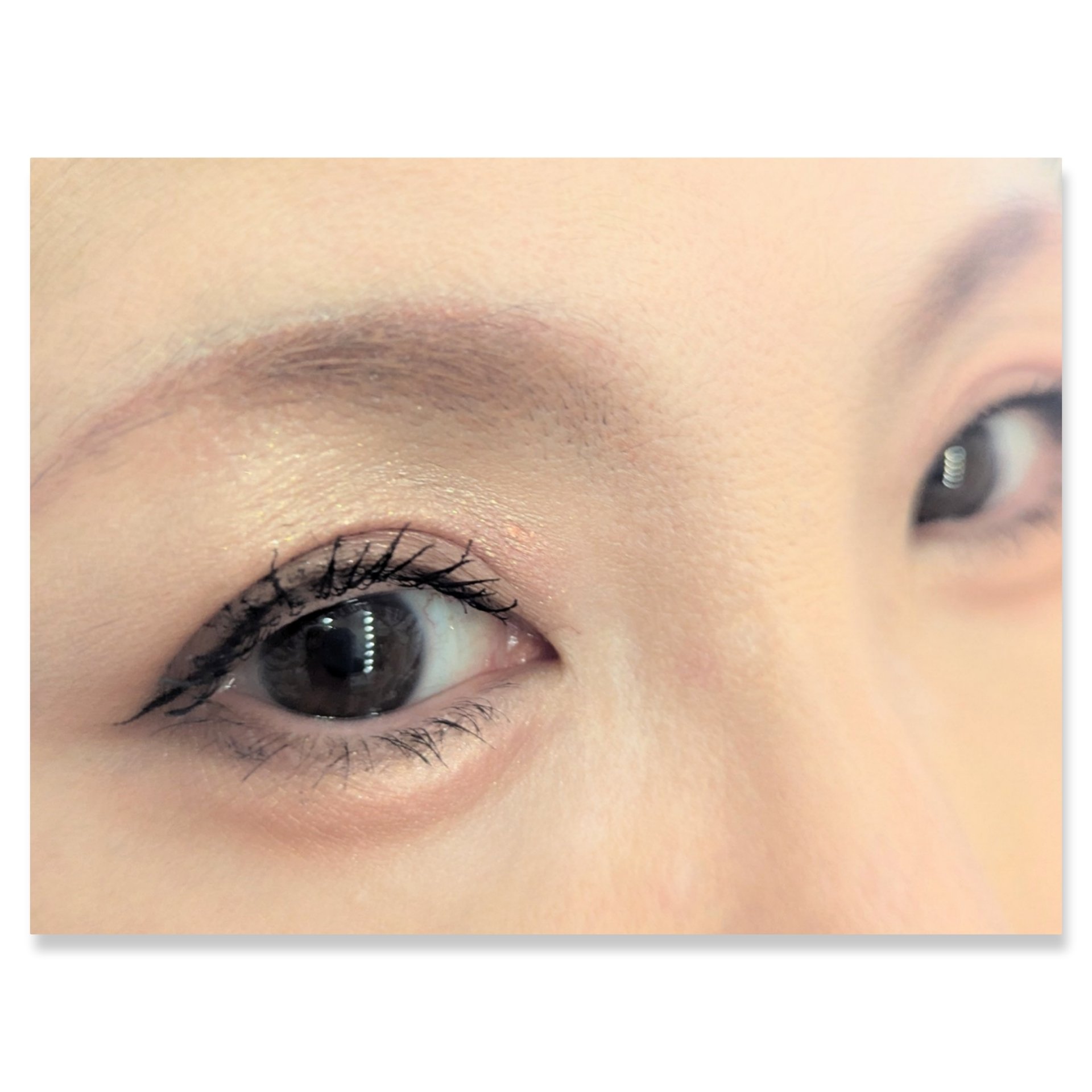 レブロン ダズル アイシャドウ クアッド 009 ゴールデン アンバー/REVLON/アイシャドウパレットを使ったクチコミ（2枚目）