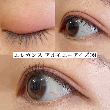 エレガンス アルモニーアイズ/Elégance/アイシャドウパレットを使ったクチコミ(10枚目)