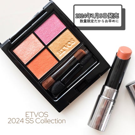 ミネラルクラッシィシャドー/エトヴォス/アイシャドウパレットを使ったクチコミ(8枚目)