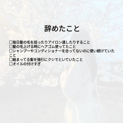 を使ったクチコミ(3枚目)