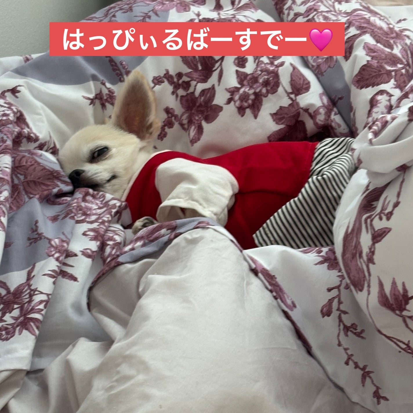 ネイルホリック リミテッドカラー Winter Sweet Biscuit/ネイルホリック/マニキュアを使ったクチコミ(7枚目)