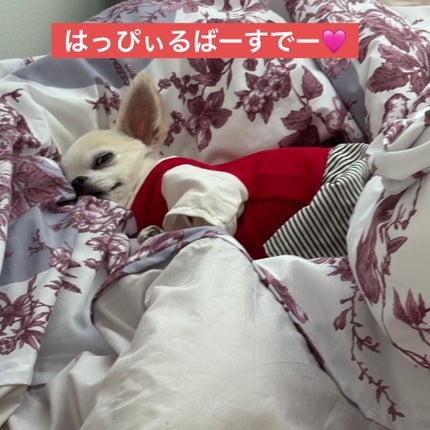 ネイルホリック リミテッドカラー Winter Sweet Biscuit/ネイルホリック/マニキュアを使ったクチコミ(7枚目)