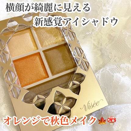パノラマデザイン アイパレット/Visée/アイシャドウパレットを使ったクチコミ(1枚目)
