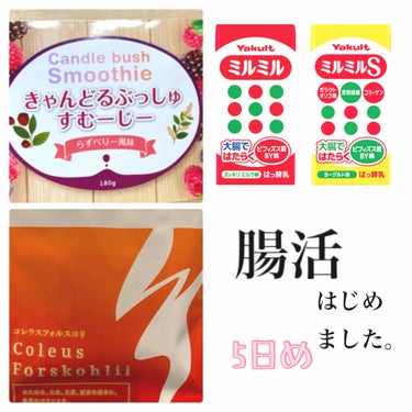 こんばんは。
いつも皆様の投稿楽しみに見てます😊


ハイパー面倒くさがり、宿題は最後の3日で終わらせるタイプ、
コツコツ継続が苦手なわたし...

腸活なる、コツコツが必要そうなやつに手を出してみたの