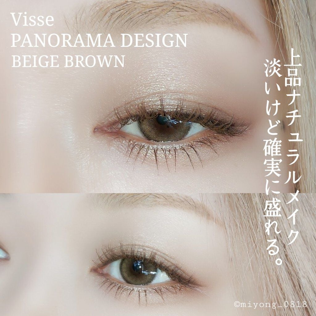 パノラマデザイン アイパレット/Visée/アイシャドウパレットを使ったクチコミ(2枚目)