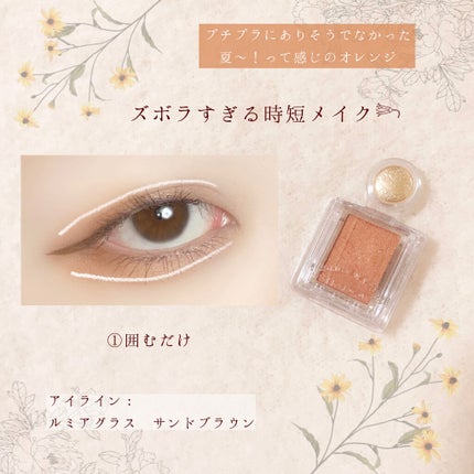 シャドーカスタマイズ/MAJOLICA MAJORCA/単色アイシャドウを使ったクチコミ(2枚目)