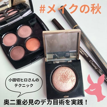 リュクスアイシャドウ/BOBBI BROWN/シングルアイシャドウを使ったクチコミ（1枚目）