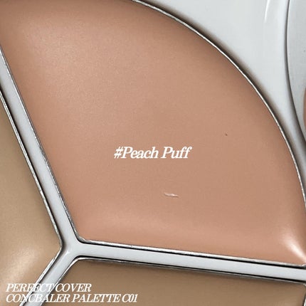 パーフェクトカバー コンシーラーパレット/Dear.A/パレットコンシーラーを使ったクチコミ(5枚目)