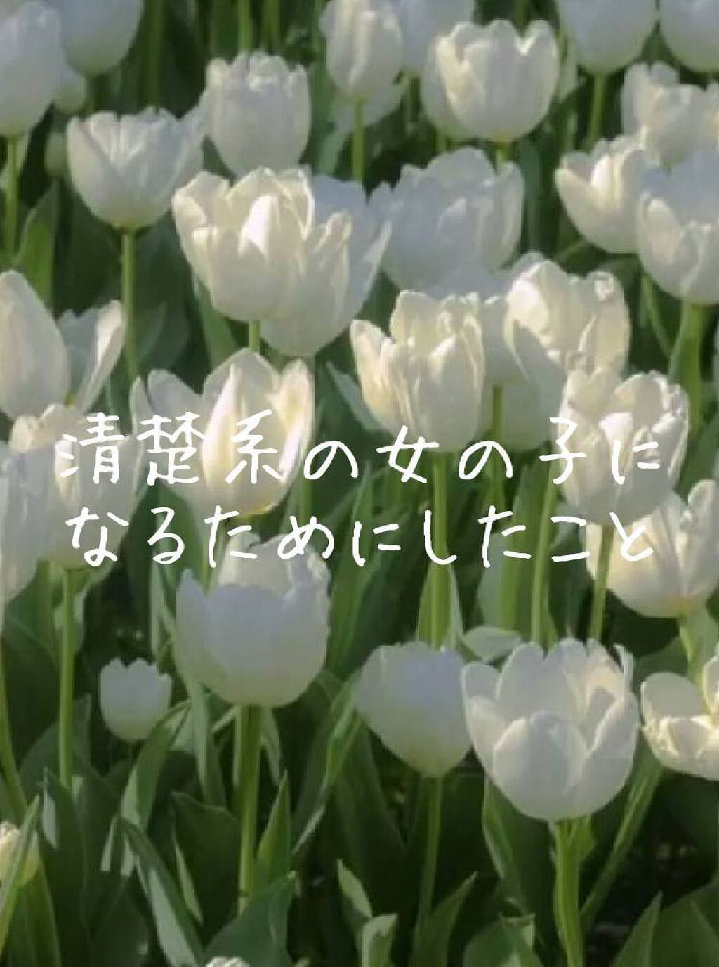 リップ クリーム/ちふれ/リップクリームを使ったクチコミ（1枚目）