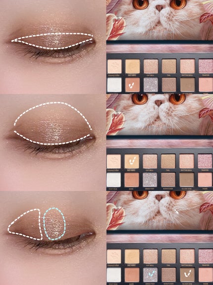 エクスプローラ12色 動物アイシャドウパレット/PERFECT DIARY/アイシャドウパレットを使ったクチコミ(3枚目)