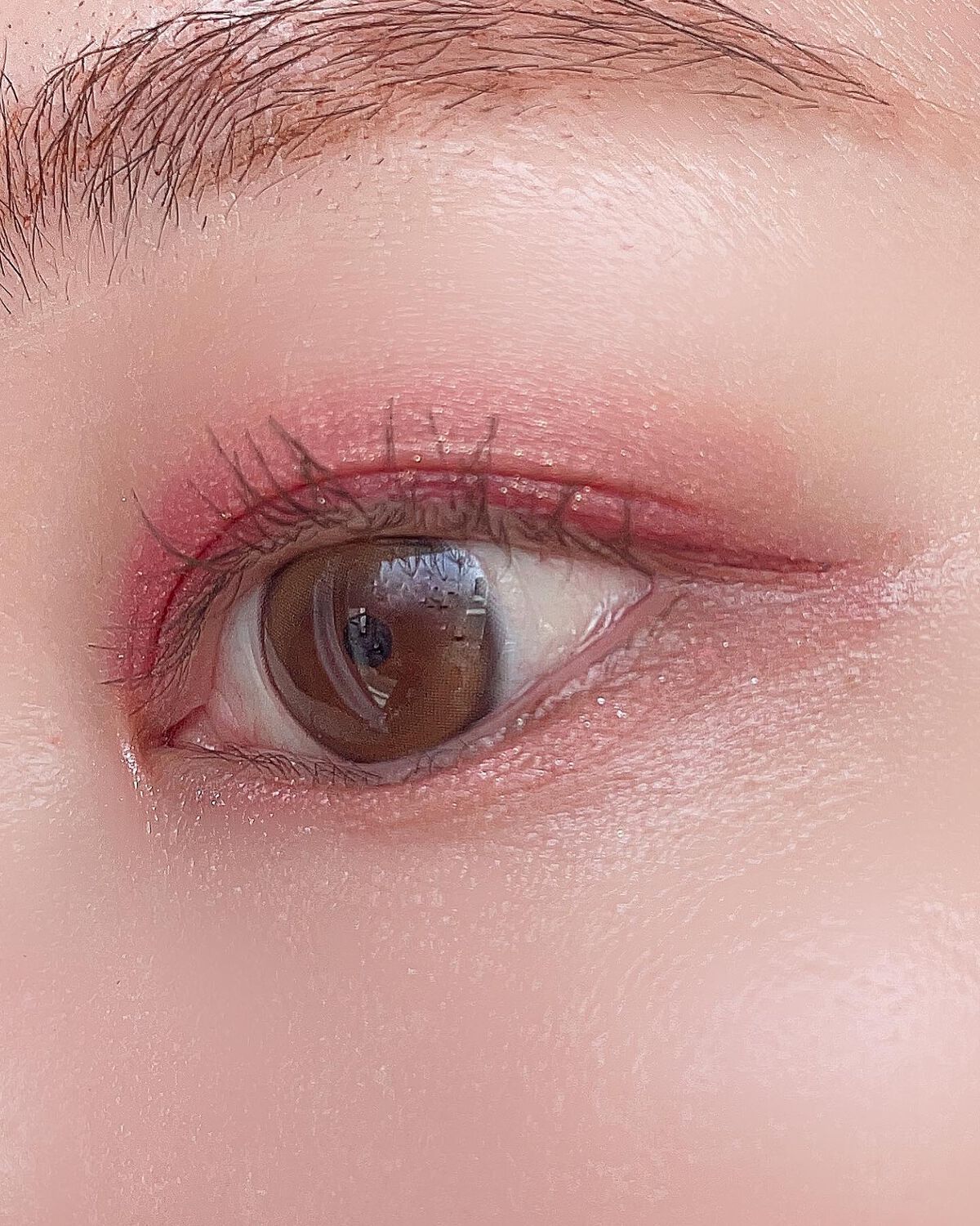 アニマルアイシャドウ(4シェード)/ZEESEA/アイシャドウパレットを使ったクチコミ（3枚目）