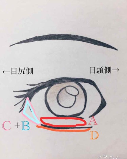パーフェクトマルチアイズ/キャンメイク/アイシャドウパレットを使ったクチコミ(4枚目)