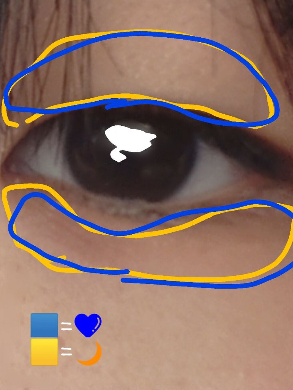 UR GLAM BLOOMING EYE COLOR PALETTE/U R GLAM/アイシャドウパレットを使ったクチコミ(3枚目)