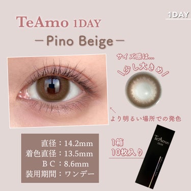 TeAmo 1DAY ピノ ベージュ/TeAmo/ワンデー（１DAY）カラコンの画像