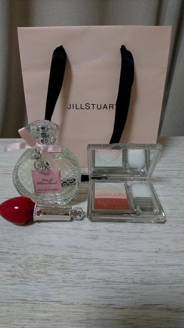 フォーエヴァージューシー オイルルージュ/JILL STUART/口紅を使ったクチコミ（1枚目）