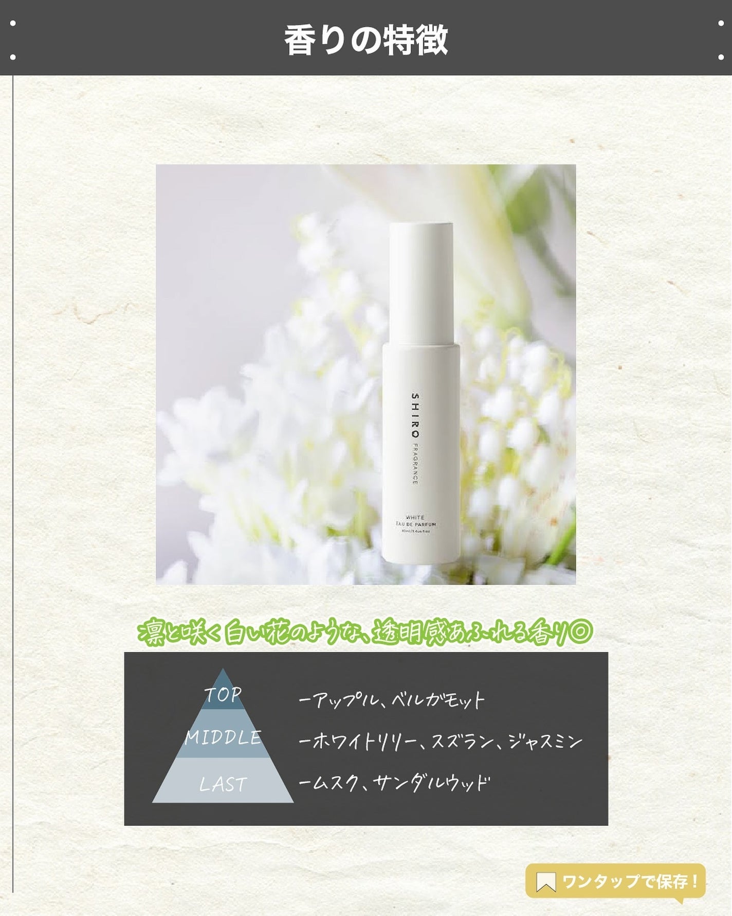 エスログ┊1日1分のモテ香水紹介 on LIPS 「.『シロ香水限定復刻』🌳製品情報🌳SHIROホワイトオードパル..」(3枚目)