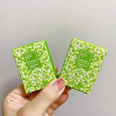 EXPERT COLOR CHEEK BOOK　MINI(エキスパートカラー　チークブック ミニ）/VDL/パウダーチークを使ったクチコミ（2枚目）