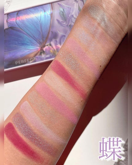 エクスプローラ12色 動物アイシャドウパレット/PERFECT DIARY/アイシャドウパレットを使ったクチコミ(9枚目)