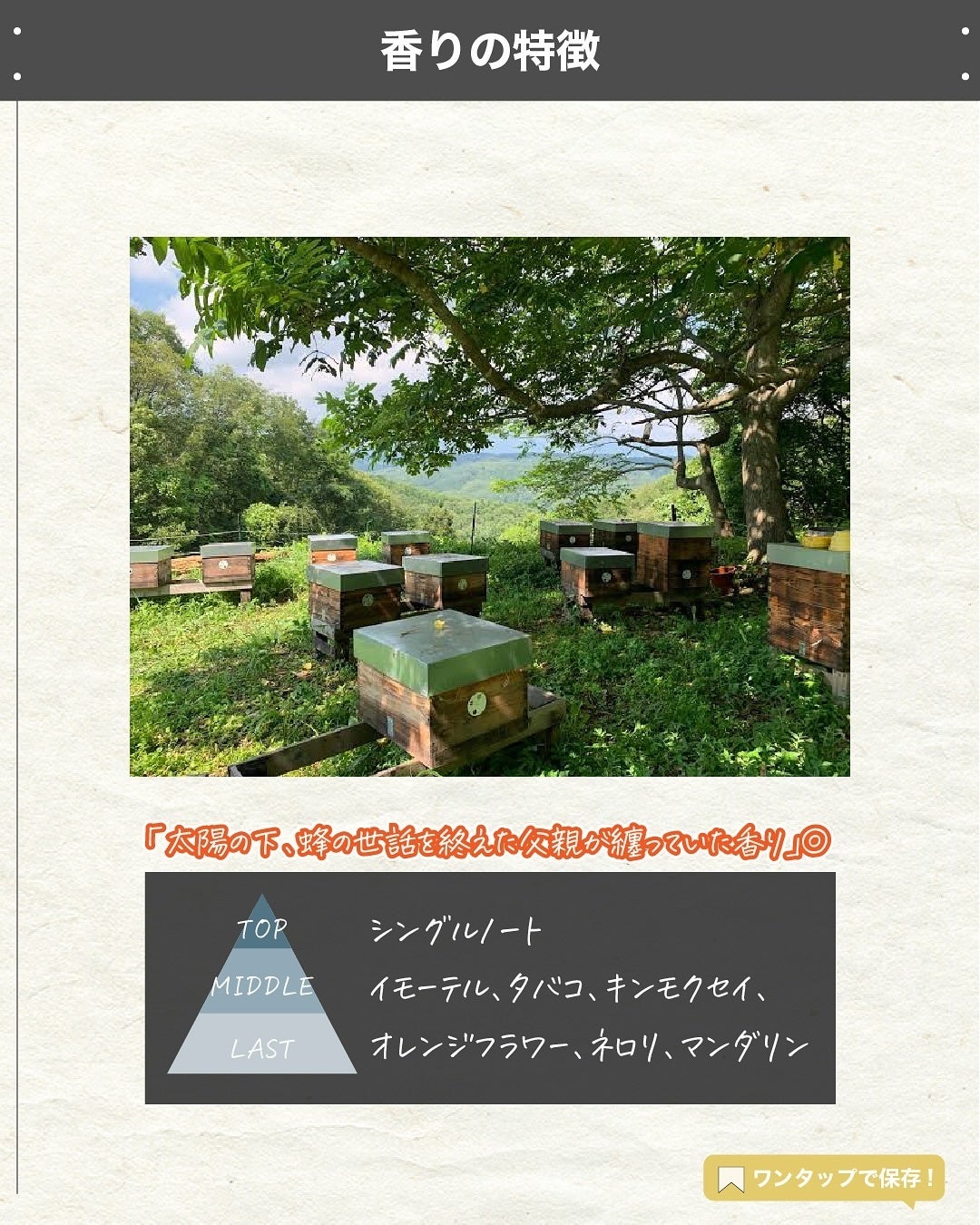 エスログ┊1日1分のモテ香水紹介 on LIPS 「.『ラッシュ新作香水』🌳製品情報🌳LUSHザビーズニーズパフュ..」(3枚目)