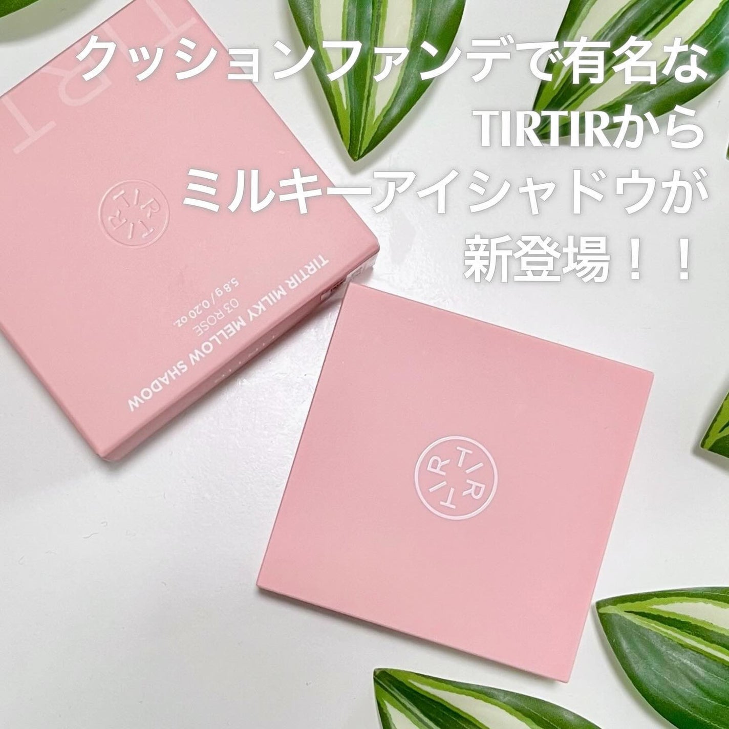 ミルキー メロウ シャドウ/TIRTIR(ティルティル)/アイシャドウパレットを使ったクチコミ(4枚目)