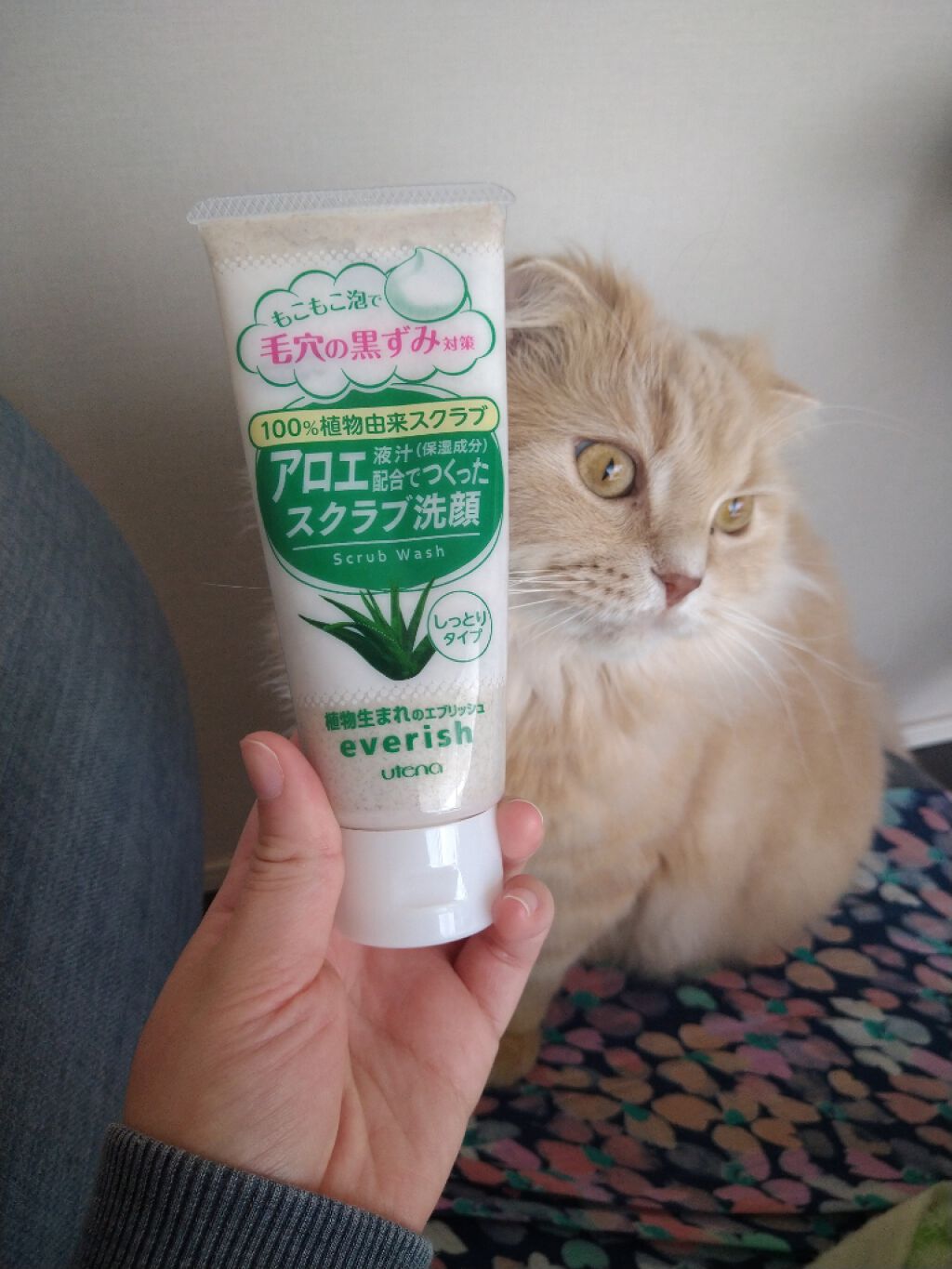 アロエスクラブ洗顔/エブリッシュ/洗顔フォームを使ったクチコミ（1枚目）