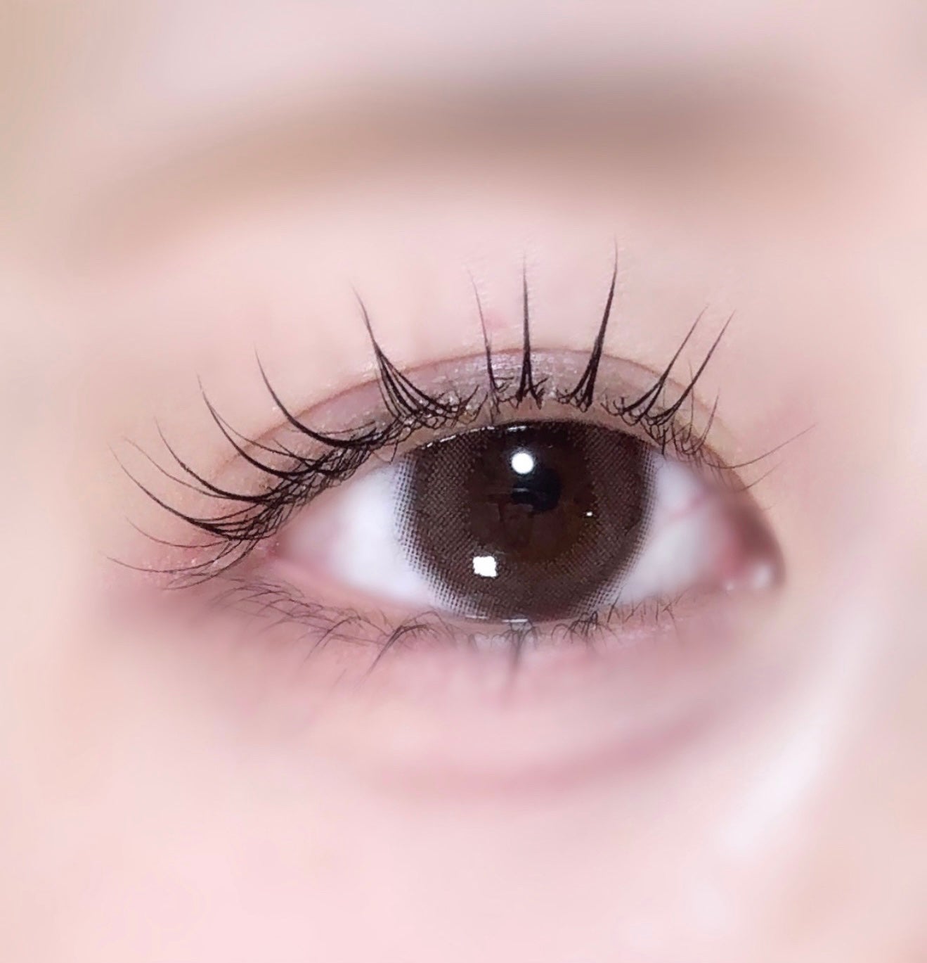 LARME MELTY SERIES(ラルムメルティシリーズ)/LARME/カラーコンタクトレンズを使ったクチコミ(1枚目)