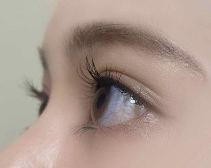 【旧】トリオ ブリック パレット 553 アース キャンパス/Dior/アイシャドウパレットの画像