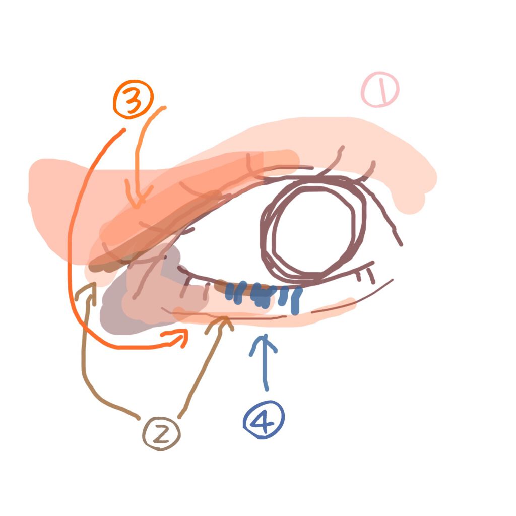 ショコラスウィート アイズ ソフトマット 001 クリームショコラ/リンメル ロンドン/アイシャドウパレットを使ったクチコミ（3枚目）