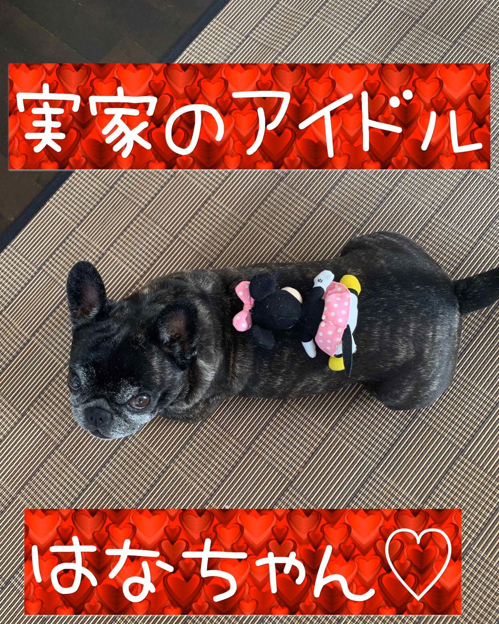 クイーンズプレミアムマスク 毛穴引き締めマスク/クオリティファースト/シートマスク・パックを使ったクチコミ（1枚目）