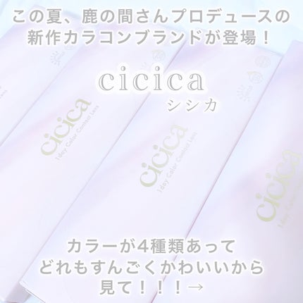cicica 1day/cicica/ワンデー(1DAY)カラコンを使ったクチコミ(4枚目)