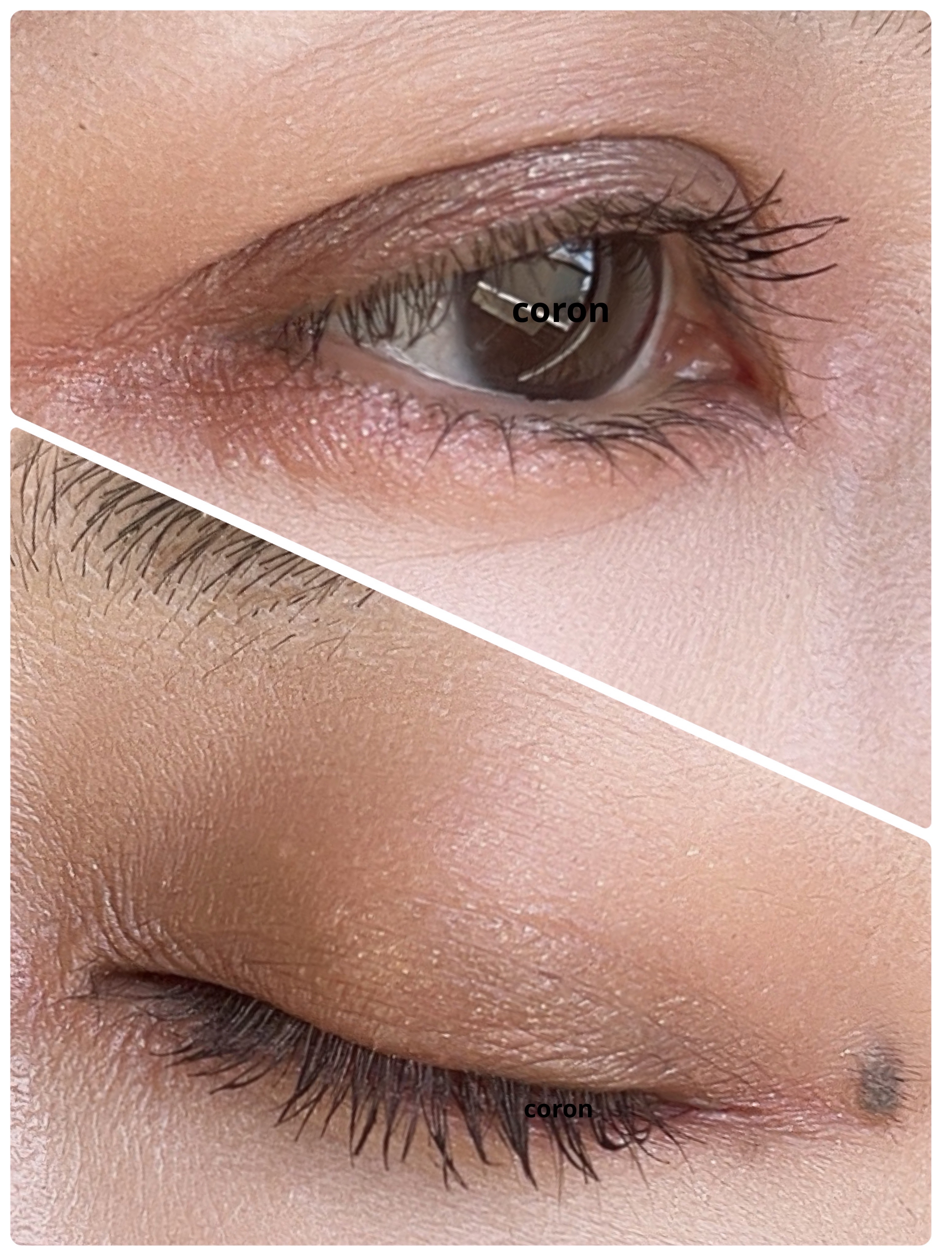 ロングウェア クリーム シャドウ スティック/BOBBI BROWN/スティックアイシャドウを使ったクチコミ（2枚目）