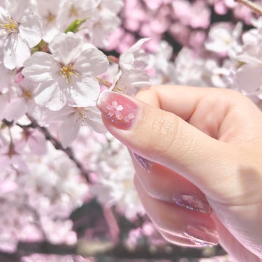 parkikoi パルP マグアートジェルのクチコミ「先日投稿した桜ネイル、週末のお花見に向けて仕上げました🌸

キャンドゥのマグネットを使用した時.....」（2枚目）
