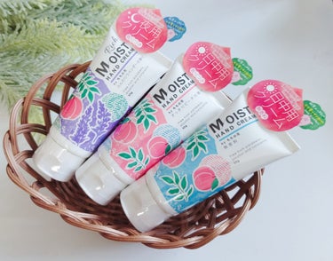 モイストハンドクリーム

リッチモイストハンドクリーム


使ってみました✋


ロングセラー商品「ももの花」から新ハンドクリーム誕生しました。

日中用、夜用とシーンによって選べる3タイプをご紹介しま