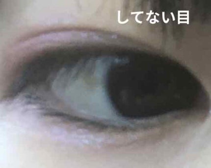 大人のルドゥーブル/ルドゥーブル/二重まぶた用アイテムを使ったクチコミ(3枚目)