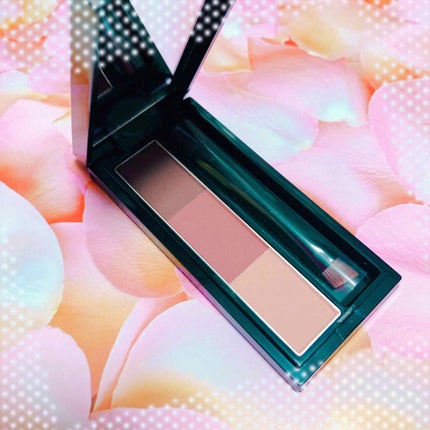 ヴィセ リシェ アイブロウパウダー/Visée/パウダーアイブロウを使ったクチコミ(3枚目)