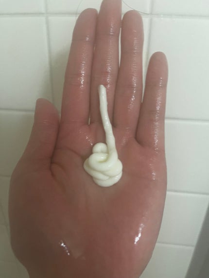 アルガン ヘアシャンプー/ヘアコンディショナー/WELEDA/市販シャンプーを使ったクチコミ(9枚目)