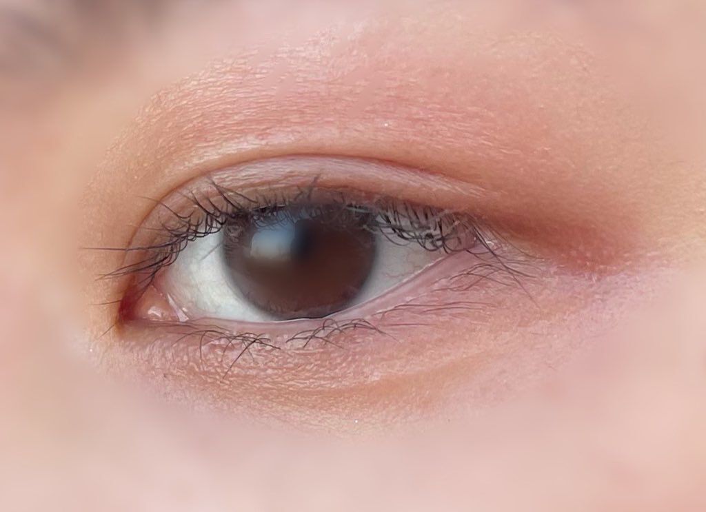 あひる on LIPS 「SHIROの2021SS新作のジンジャーアイシャドウグロウ✨色..」(3枚目)