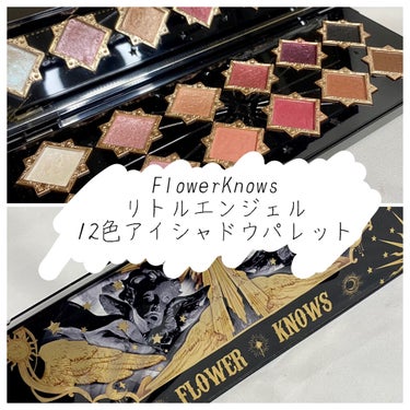 FlowerKnows
リトルエンジェル 12色アイシャドウパレット
ダークエンジェル

重量感よ………(笑)



販売開始された時にネット上で見て、
買うかずっと迷っていたんです。

けどそのまま買