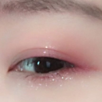 エクスプローラ12色 動物アイシャドウパレット/PERFECT DIARY/アイシャドウパレットを使ったクチコミ(5枚目)