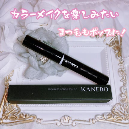 カネボウ アイカラーデュオ/KANEBO/アイシャドウパレットを使ったクチコミ(5枚目)