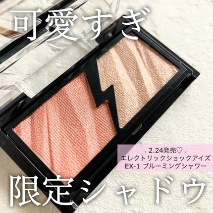 エレクトリックショックアイズ  EX-1 ブルーミングシャワー/KATE/アイシャドウパレットを使ったクチコミ(1枚目)