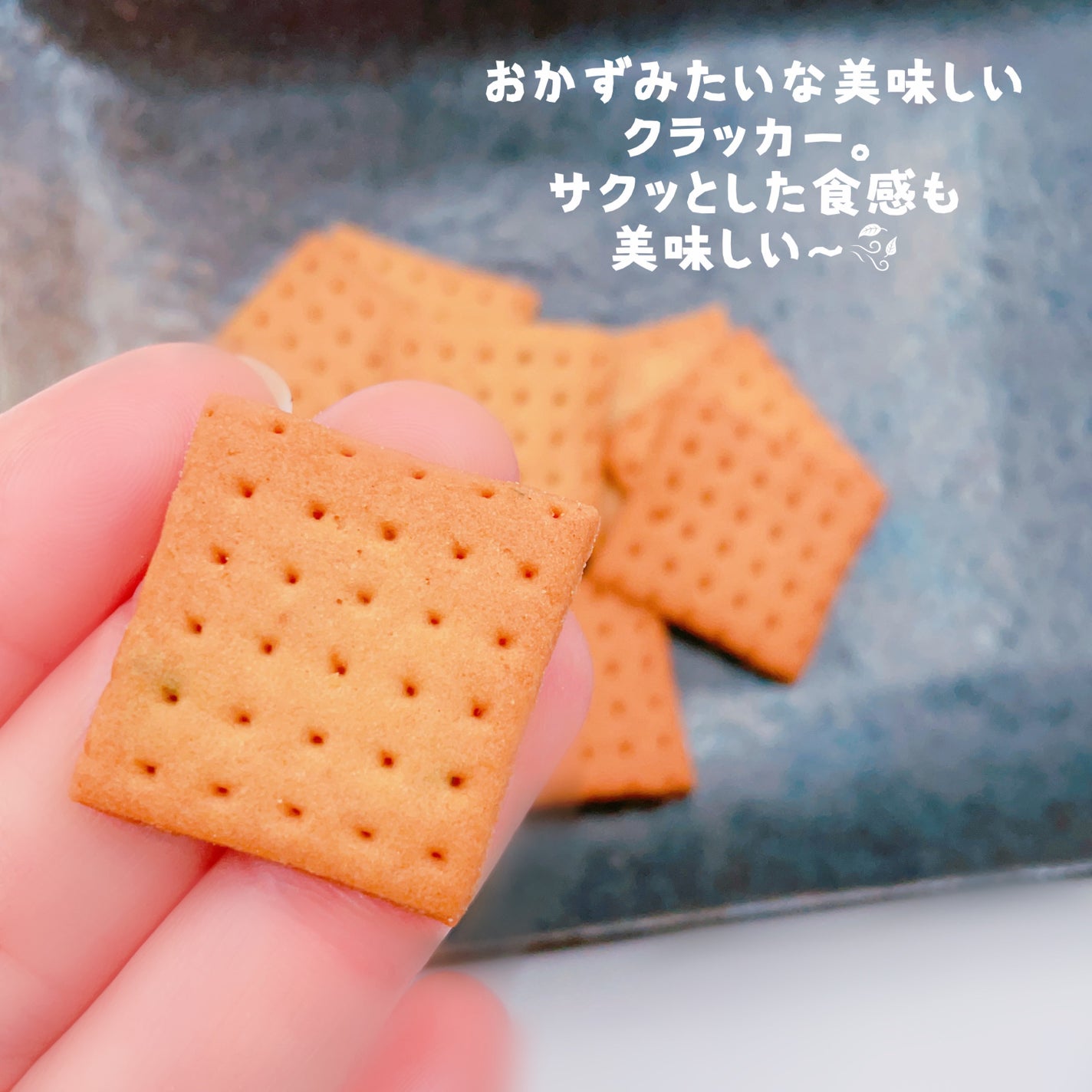 DIET CRACKER/HEALSLAB/食品を使ったクチコミ(3枚目)