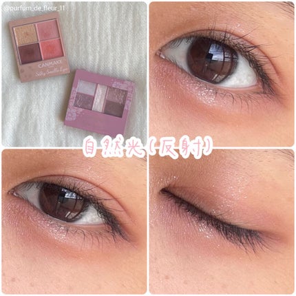 パーフェクトスタイリストアイズ/キャンメイク/アイシャドウパレットを使ったクチコミ(9枚目)